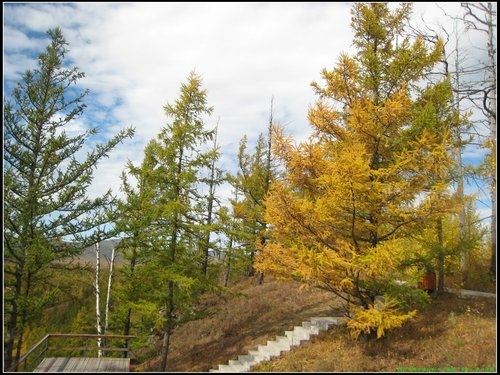 阿爾山- 駝峰嶺天池