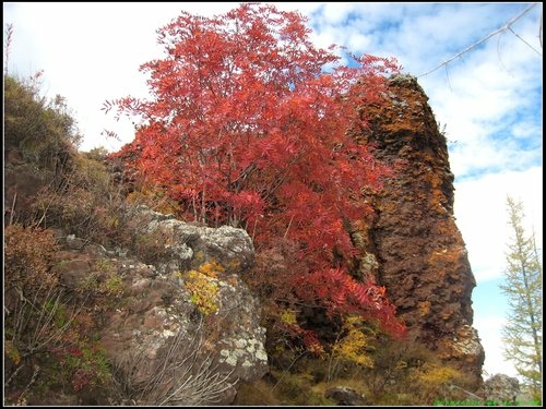 阿爾山- 駝峰嶺天池 阿爾山- 駝峰嶺天池