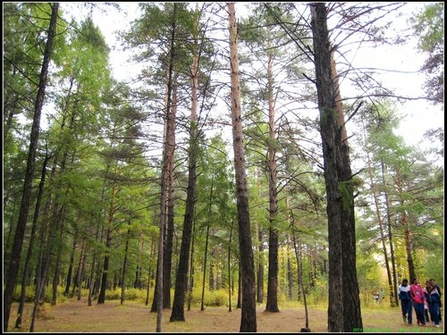 北極村-漠河-滿歸-根河-額爾古納