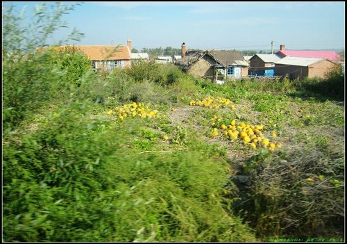 五大連池- 嫩江- 漠河