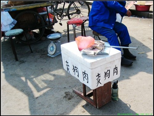 五大連池- 嫩江- 漠河