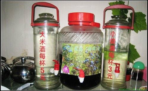 五大連池