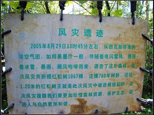 五營_伊春