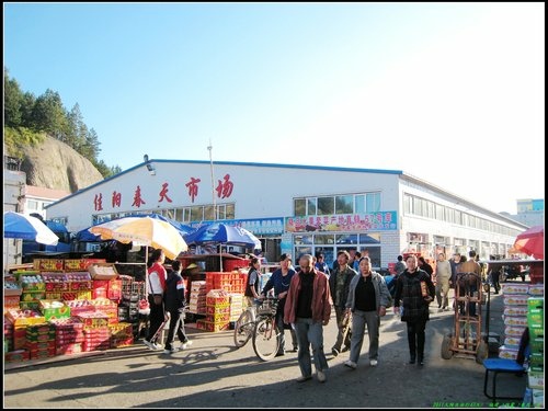 五營_伊春