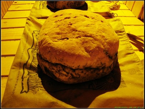 哈爾濱 -Ⅱ 哈爾濱 -Ⅱ