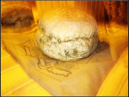 哈爾濱 -Ⅱ 哈爾濱 -Ⅱ