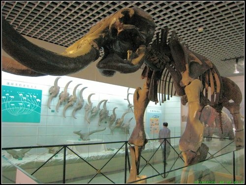 哈爾濱 -Ⅱ 哈爾濱 -Ⅱ