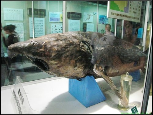 哈爾濱 -Ⅱ 哈爾濱 -Ⅱ