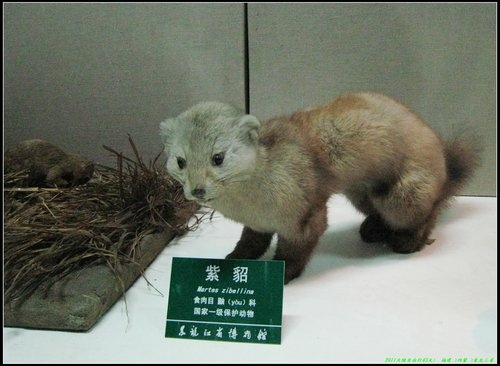 哈爾濱 -Ⅱ 哈爾濱 -Ⅱ