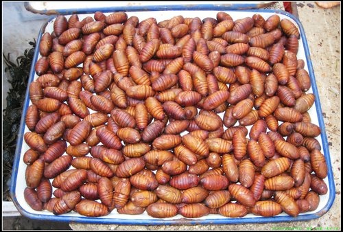 哈爾濱 -Ⅱ 哈爾濱 -Ⅱ