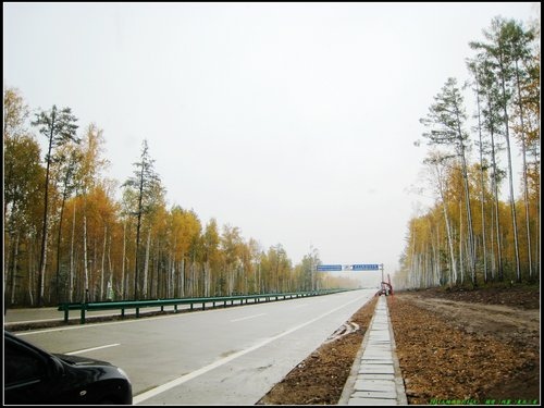 452093548_m[1].jpg