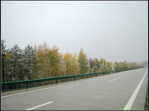 漠河-北極村
