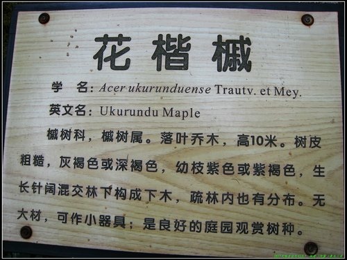 伊春_湯旺河