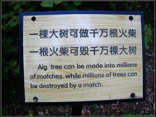 伊春_湯旺河