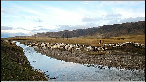巴音布魯克 巴音布魯克