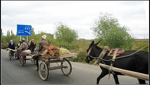 和田_民豐_沙漠公路_輪台