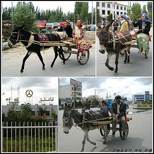 和田_民豐_沙漠公路_輪台
