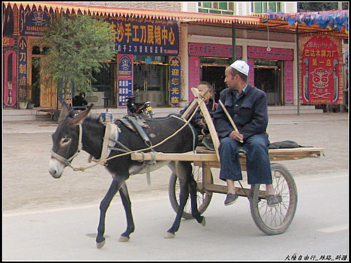 白楊樹 & 驢板車 白楊樹 & 驢板車