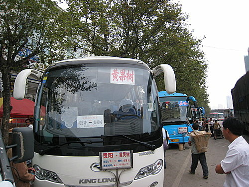 451782846_m[1].jpg