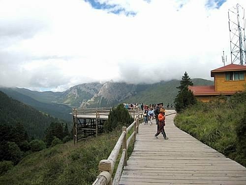 451809946_m[1].jpg
