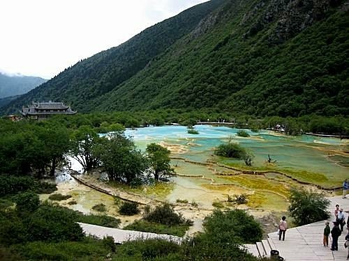 451955234_m[1].jpg