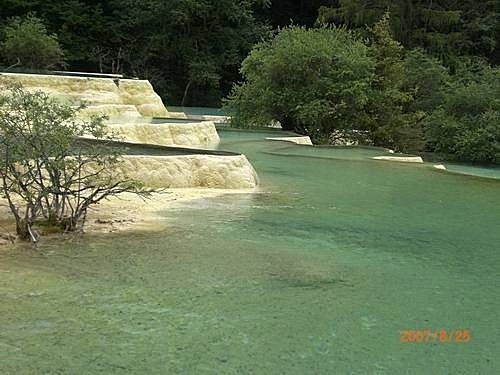 451899529_m[1].jpg