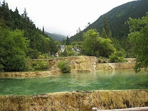 451866528_m[1].jpg