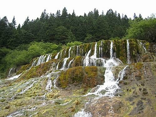 451863119_m[1].jpg