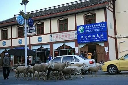 451803054_m[1].jpg