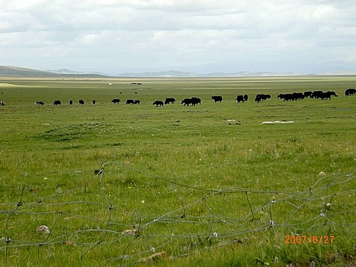 451848710_m[1].jpg