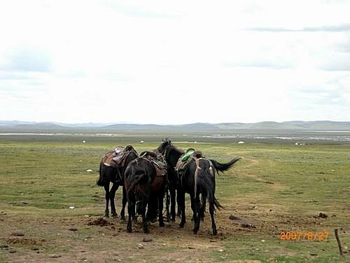 451923092_m[1].jpg