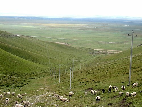 451888743_m[1].jpg