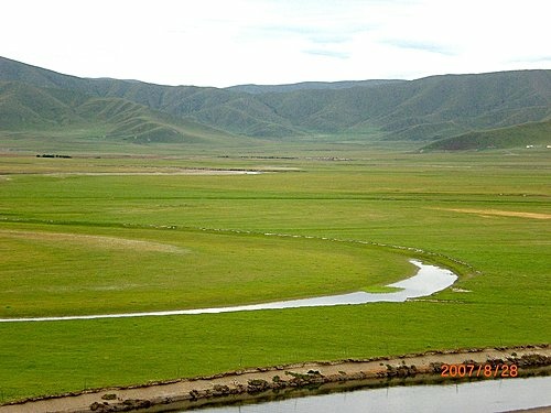 452030058_m[1].jpg