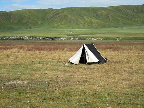 452122235_m[1].jpg