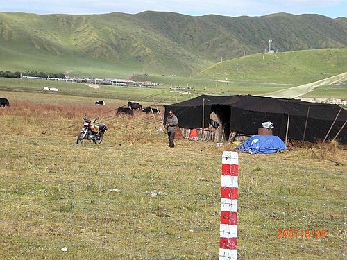 452051236_m[1].jpg
