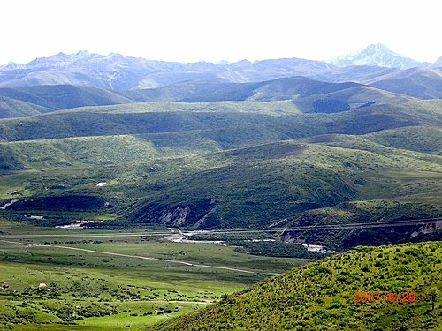 452013954_m[1].jpg