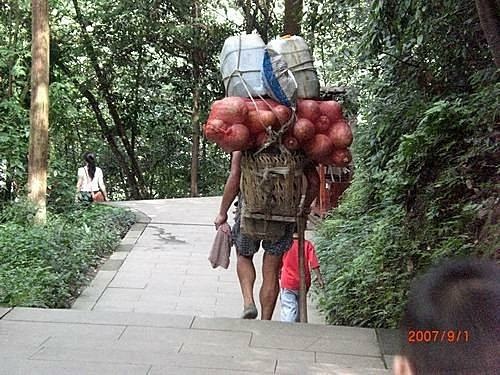 都江堰__青城山