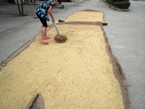 重新曝光 101_4710.JPG