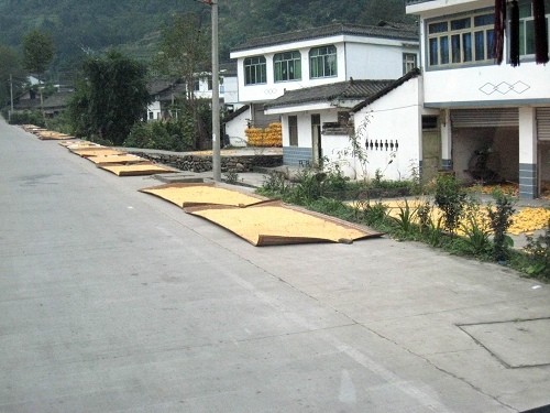 重新曝光 101_4701.JPG