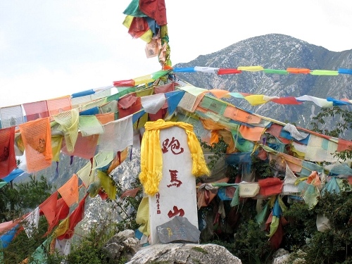 重新曝光 101_4921.JPG