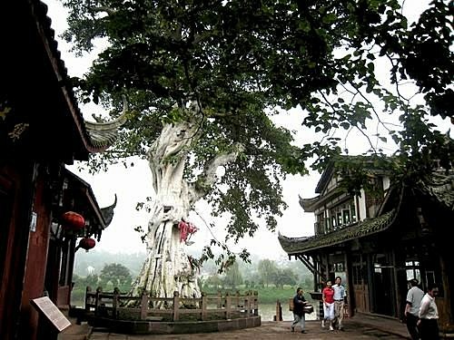 成都_2黃龍溪古鎮+錦江劇場川劇變臉