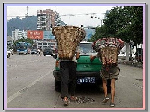 竹背兜 / 簍