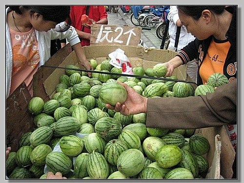452140191_m[1].jpg