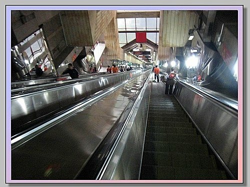 重慶黑心水果攤 + 菜園壩水果批發市場