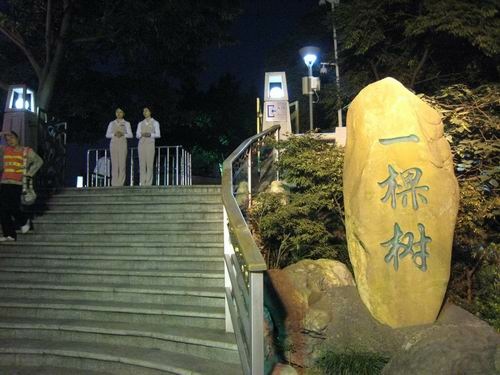解放碑_朝天門_一顆樹_人民大禮堂