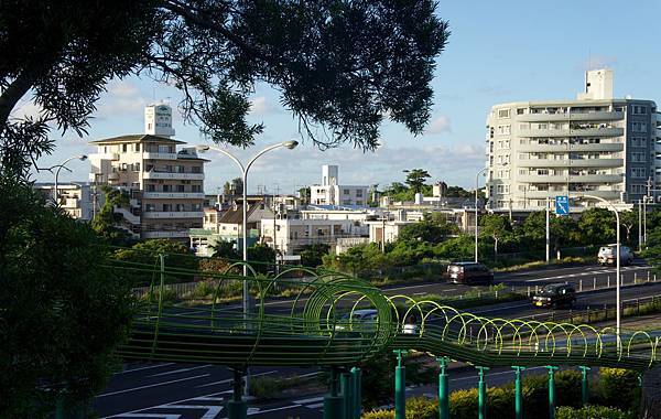 DSC08378.jpg DSC08378.jpg