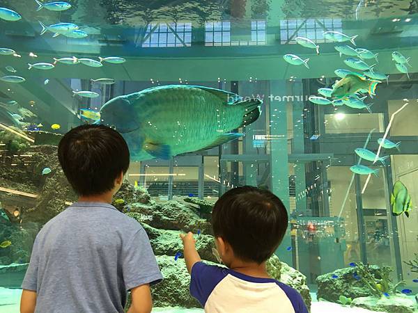 IMG_7283.jpg IMG_7283.jpg