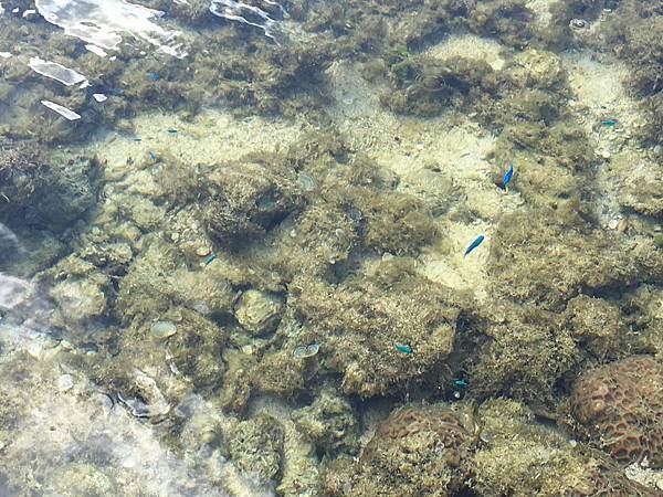 IMG_7348.jpg IMG_7348.jpg