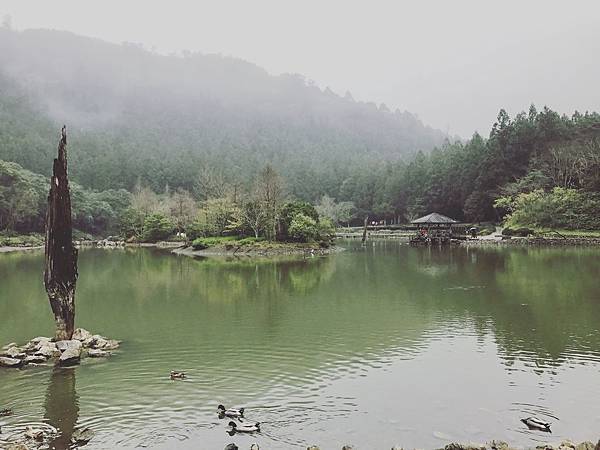 IMG_2235.jpg IMG_2235.jpg