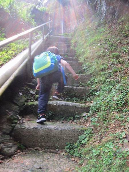 IMG_2484.jpg IMG_2484.jpg